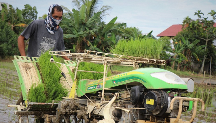 rice transplanter